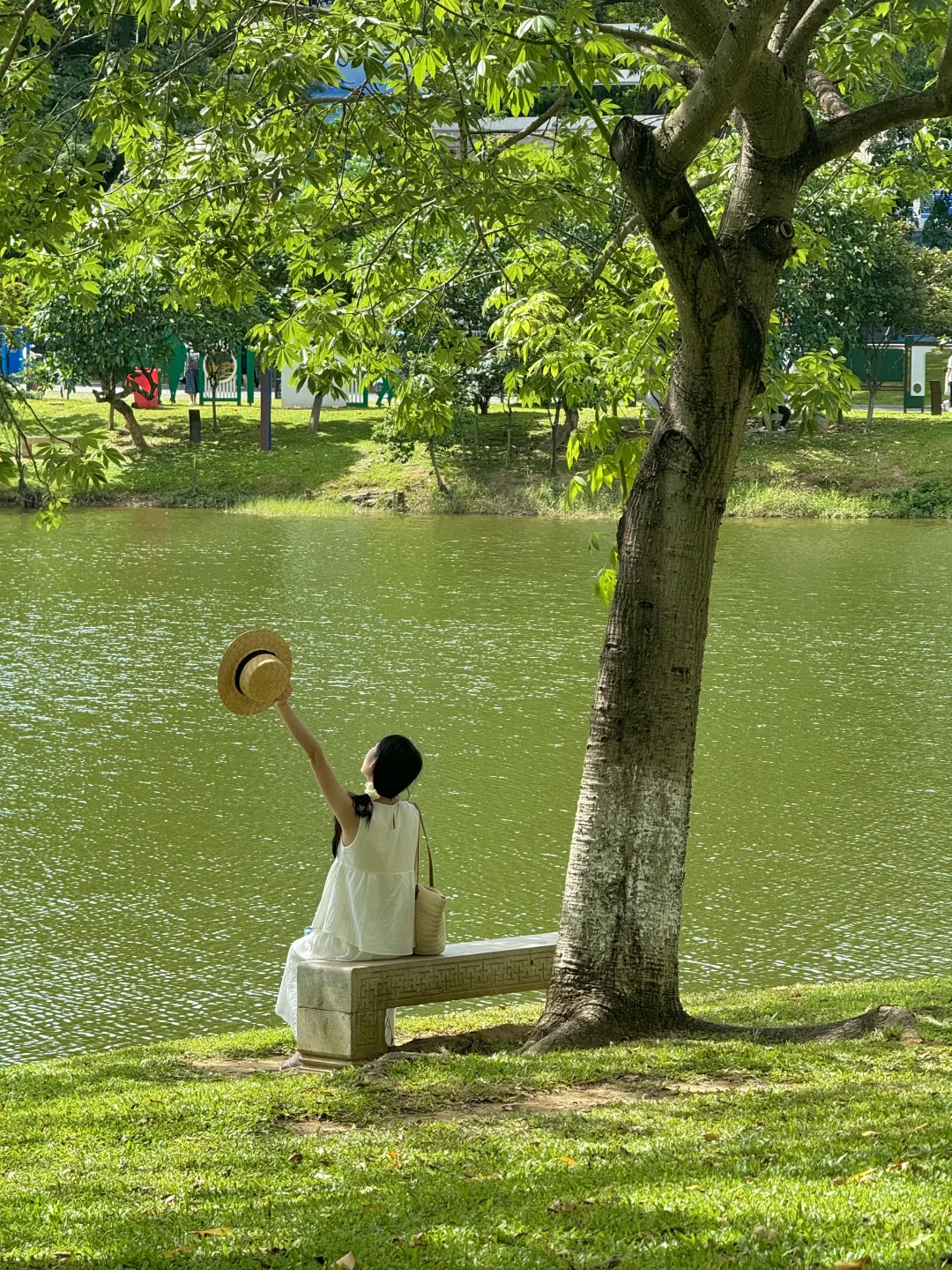 实况Live📷东莞这个值得N刷的公园太美了～