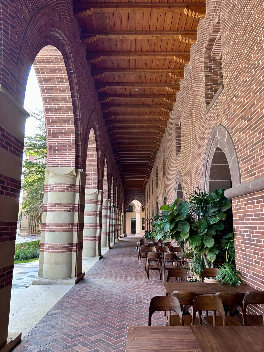 🚄不是欧洲去不起，而是东莞更有性价比