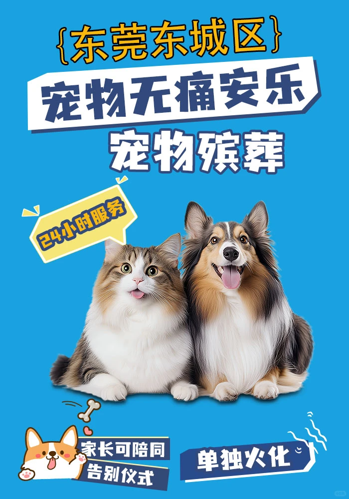 东莞东城区宠物火化殡葬善终无痛安乐纪念品