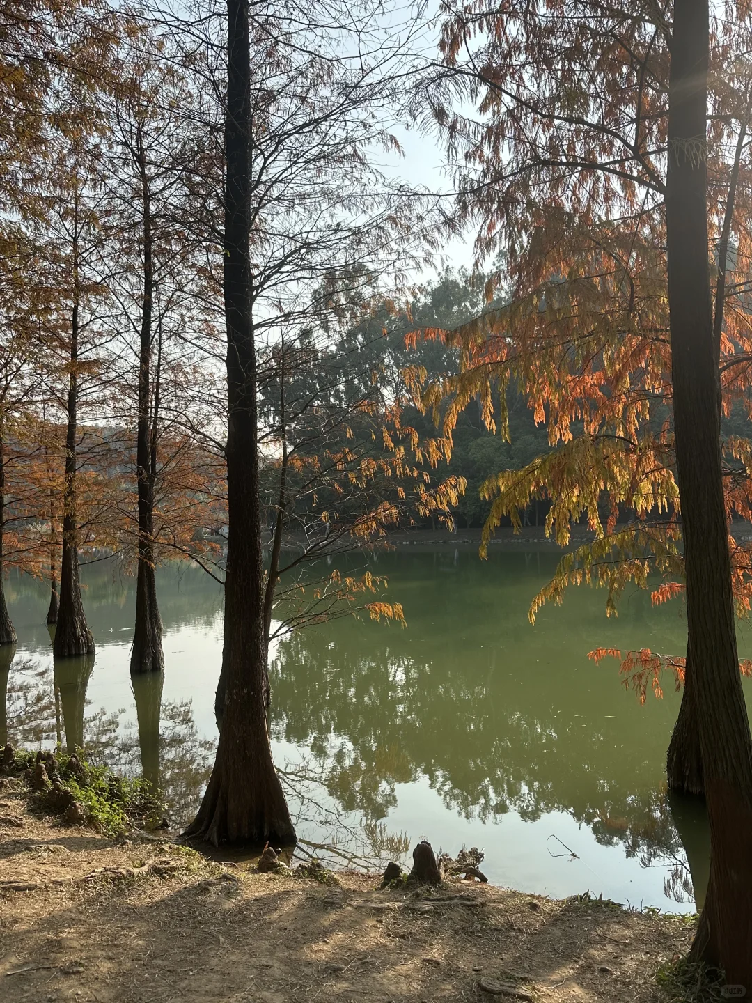 接下来的广州！