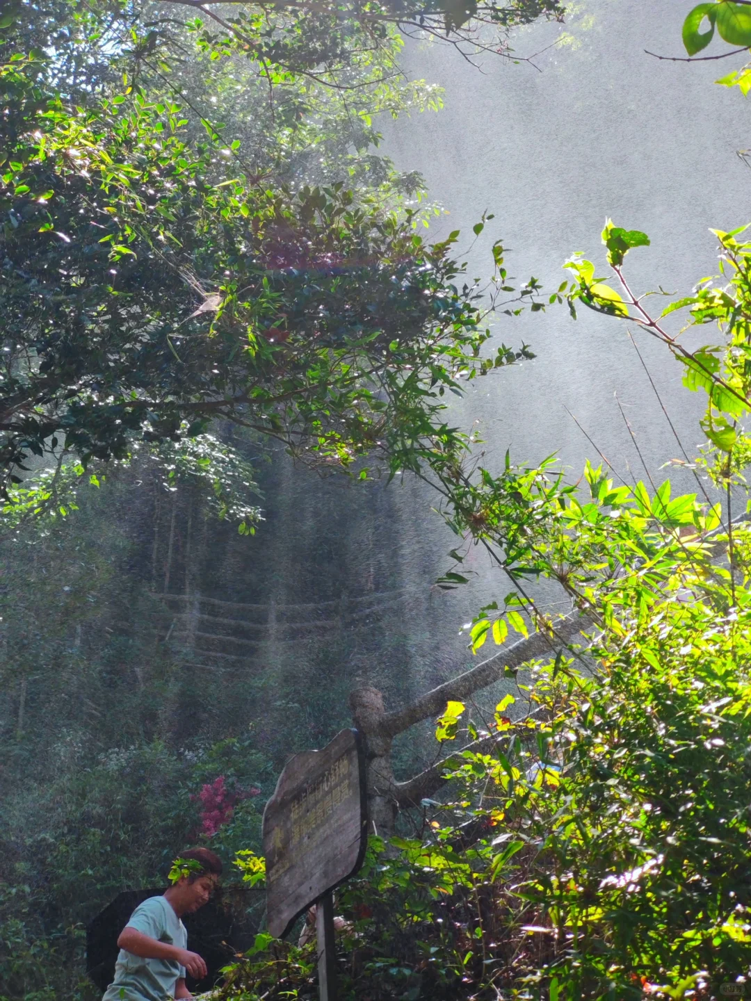 广州，你有这样的瀑布怎么没听你说过