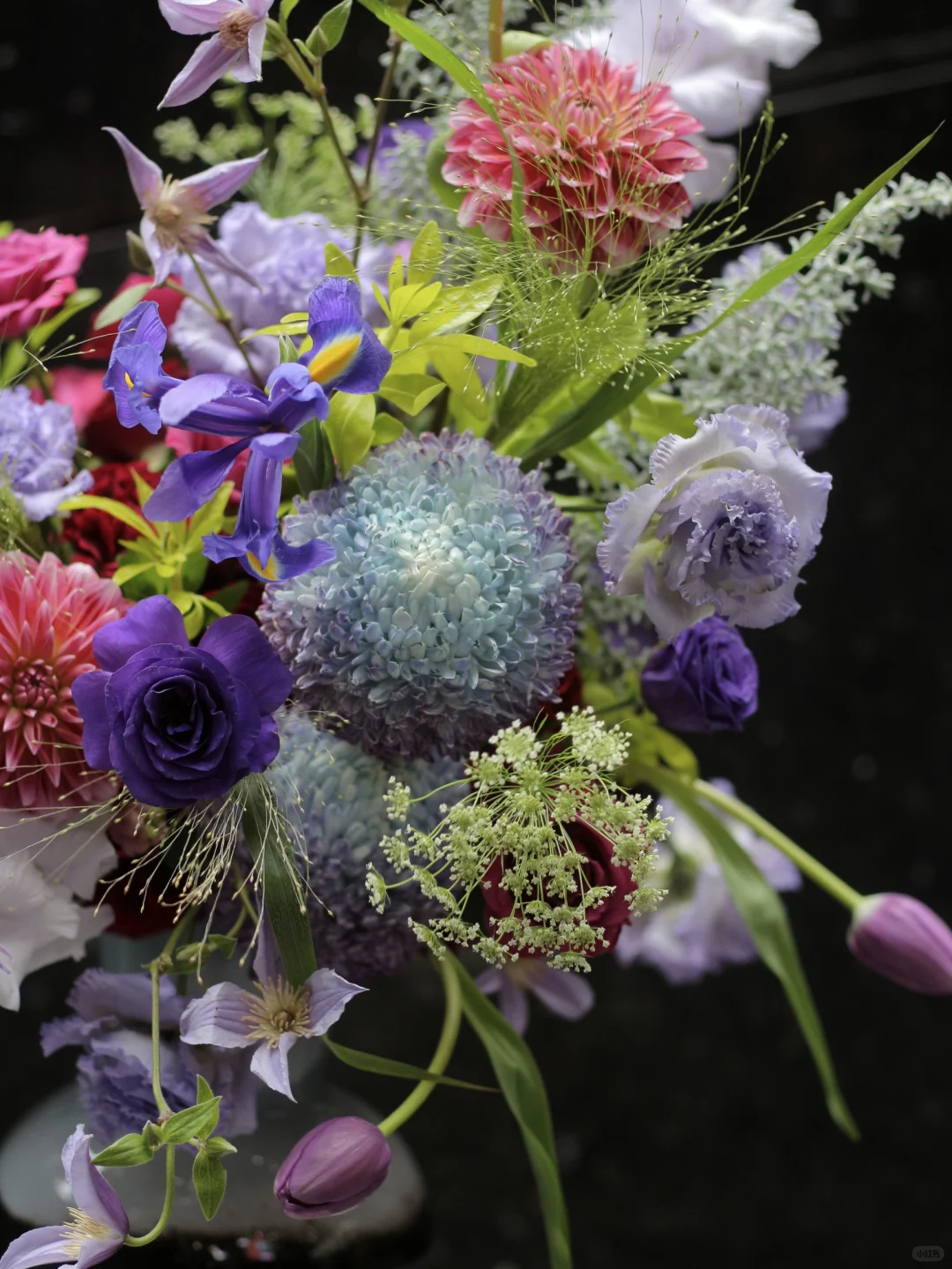 今日份「紫调花簇」美得有点不讲理