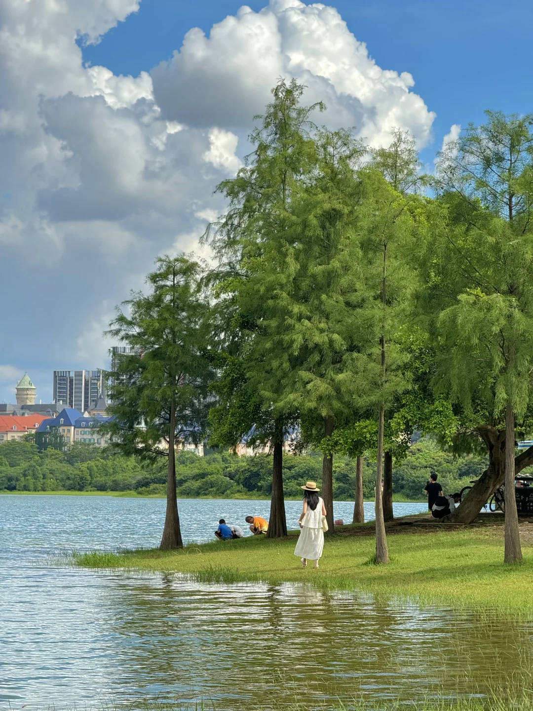 实况Live📷东莞这个值得N刷的公园太美了～