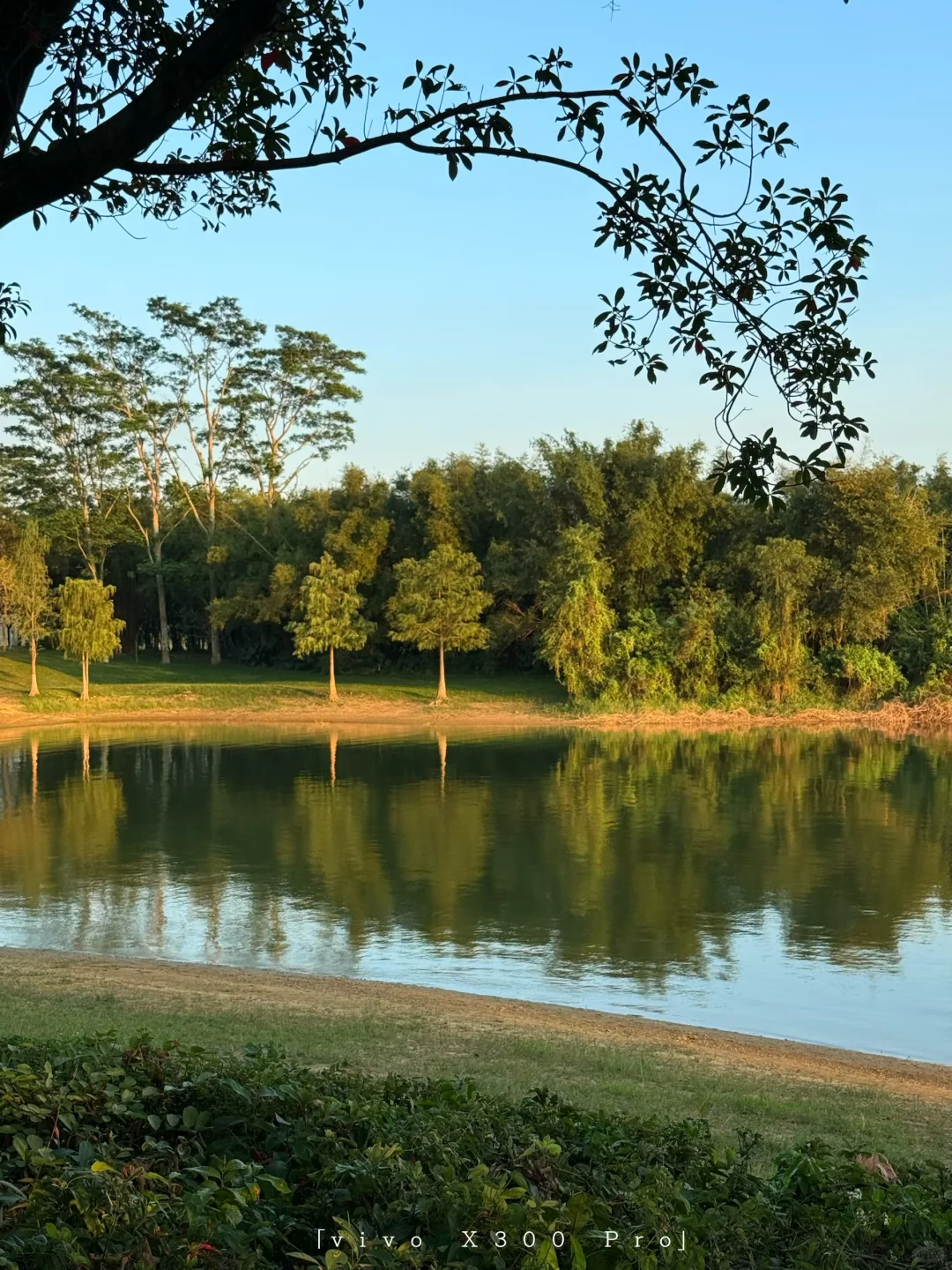 广深周边1h🚗最好的地方都是免费的🏰