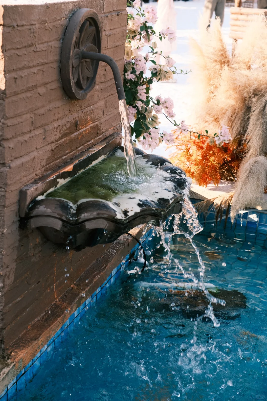 屿酉咖啡！全东莞的美女都给我去这里拍！（上）