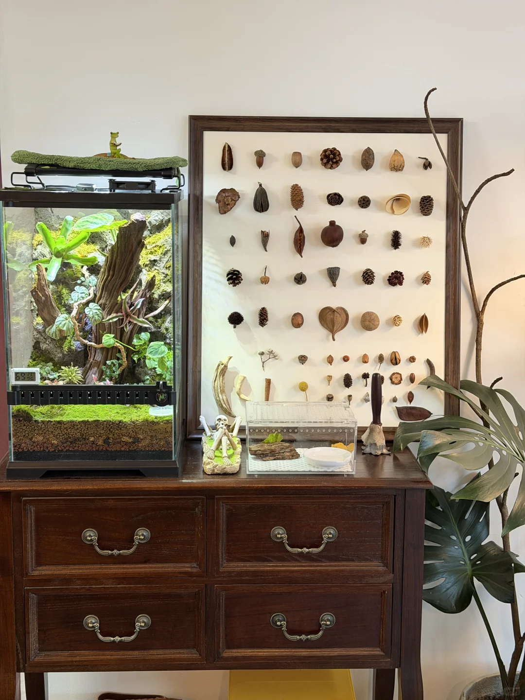 深圳新店！i人可以待一下午的社区店