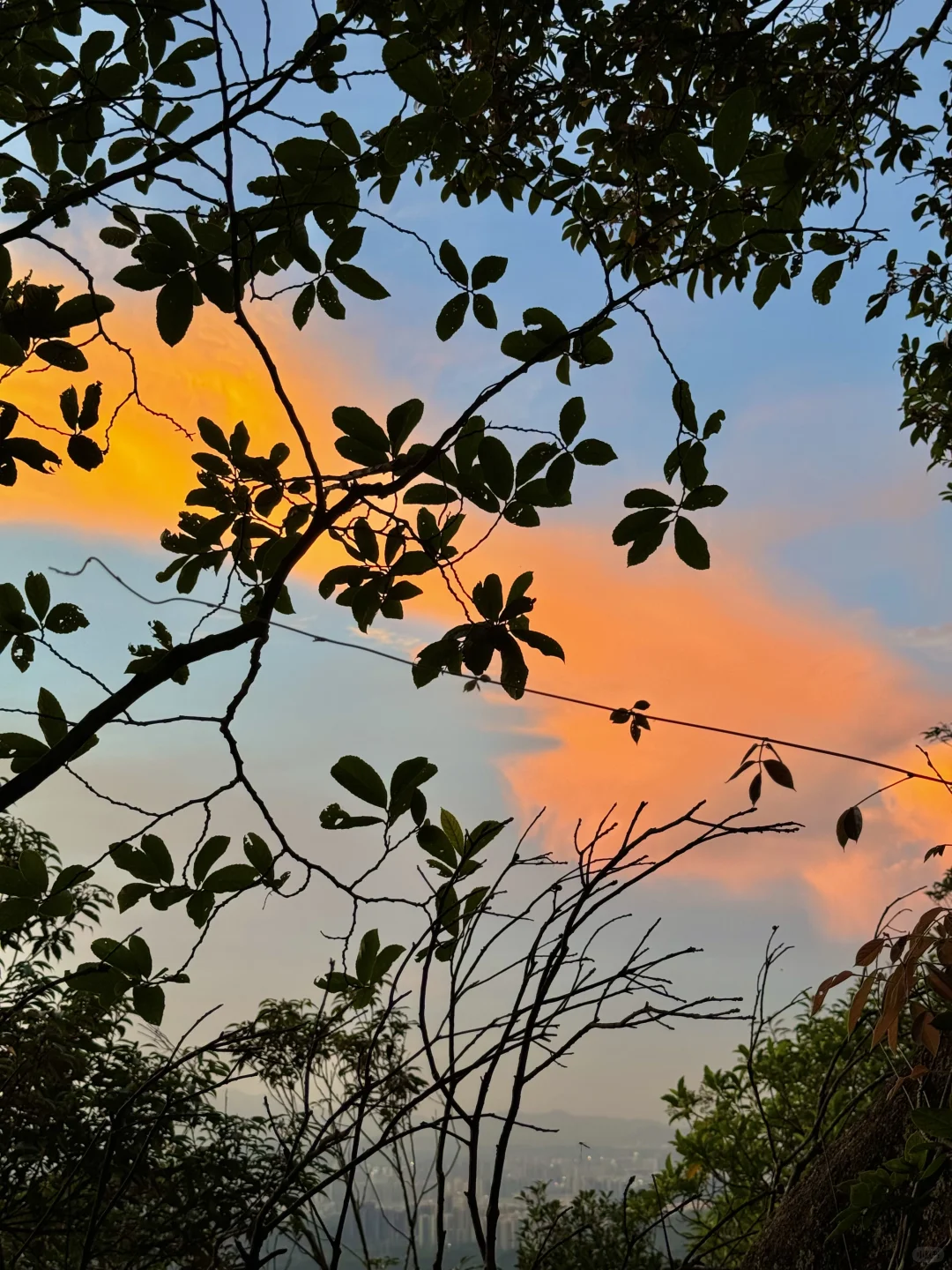 被深圳这个山顶世纪晚霞震撼到了！！！