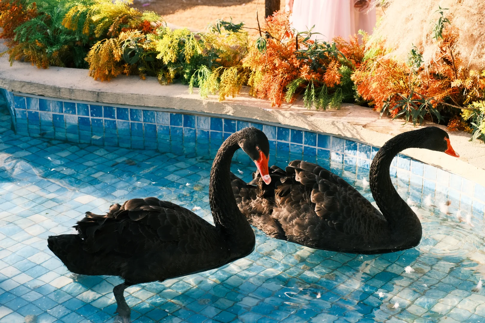 屿酉咖啡！全东莞的美女都给我去这里拍！（上）