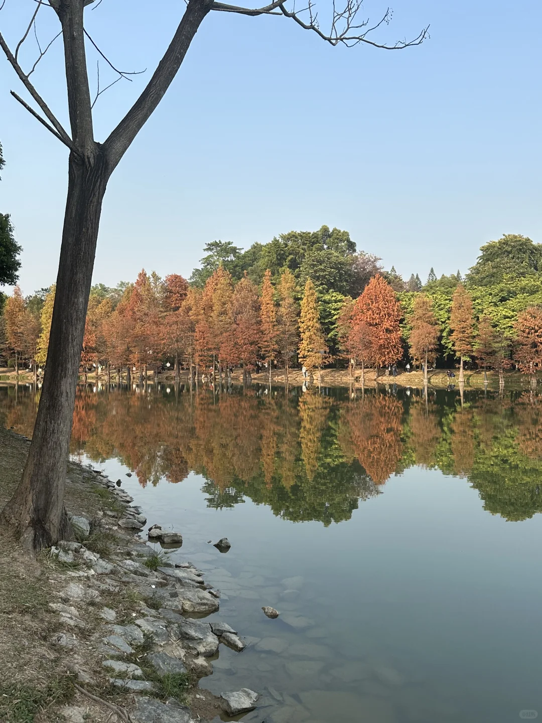 接下来的广州！