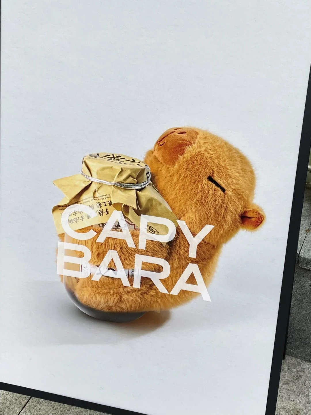 东莞首家！已爱上可可爱爱的卡皮巴拉☕️