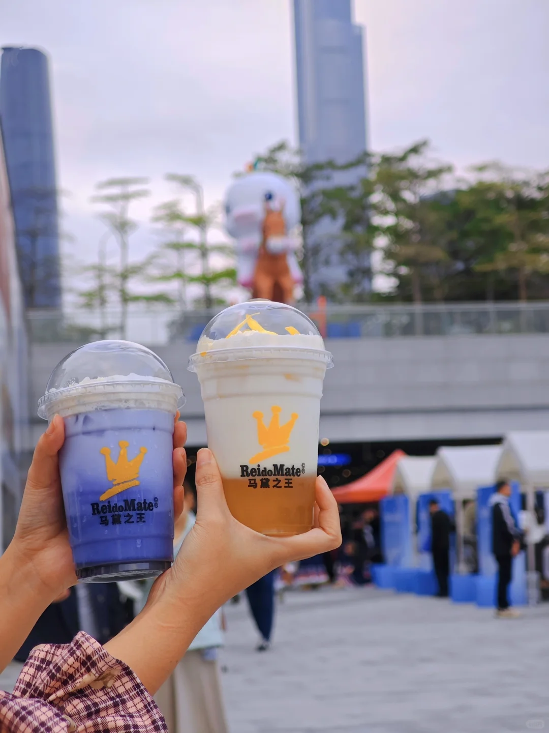 广州塔下喝到南美风马黛茶🍃