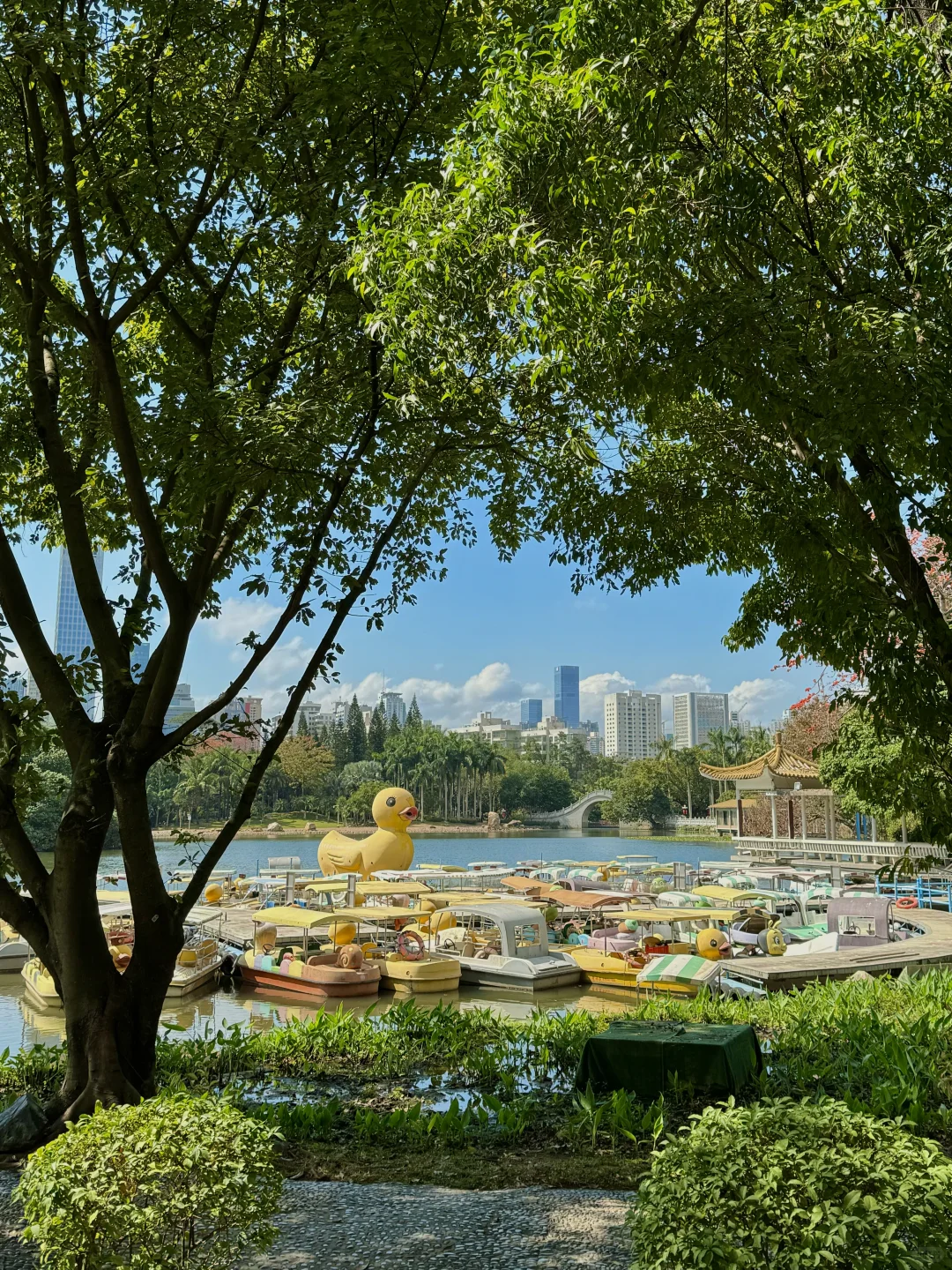 深圳最好的地方都是免费的。。。（附地址