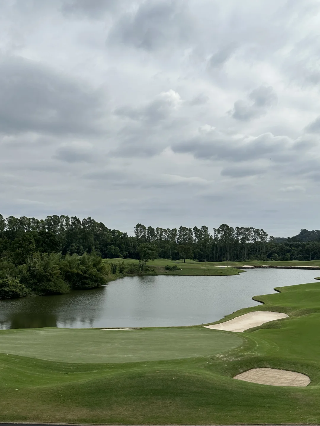东莞 | 找到了zui适合散步的绿道🌿