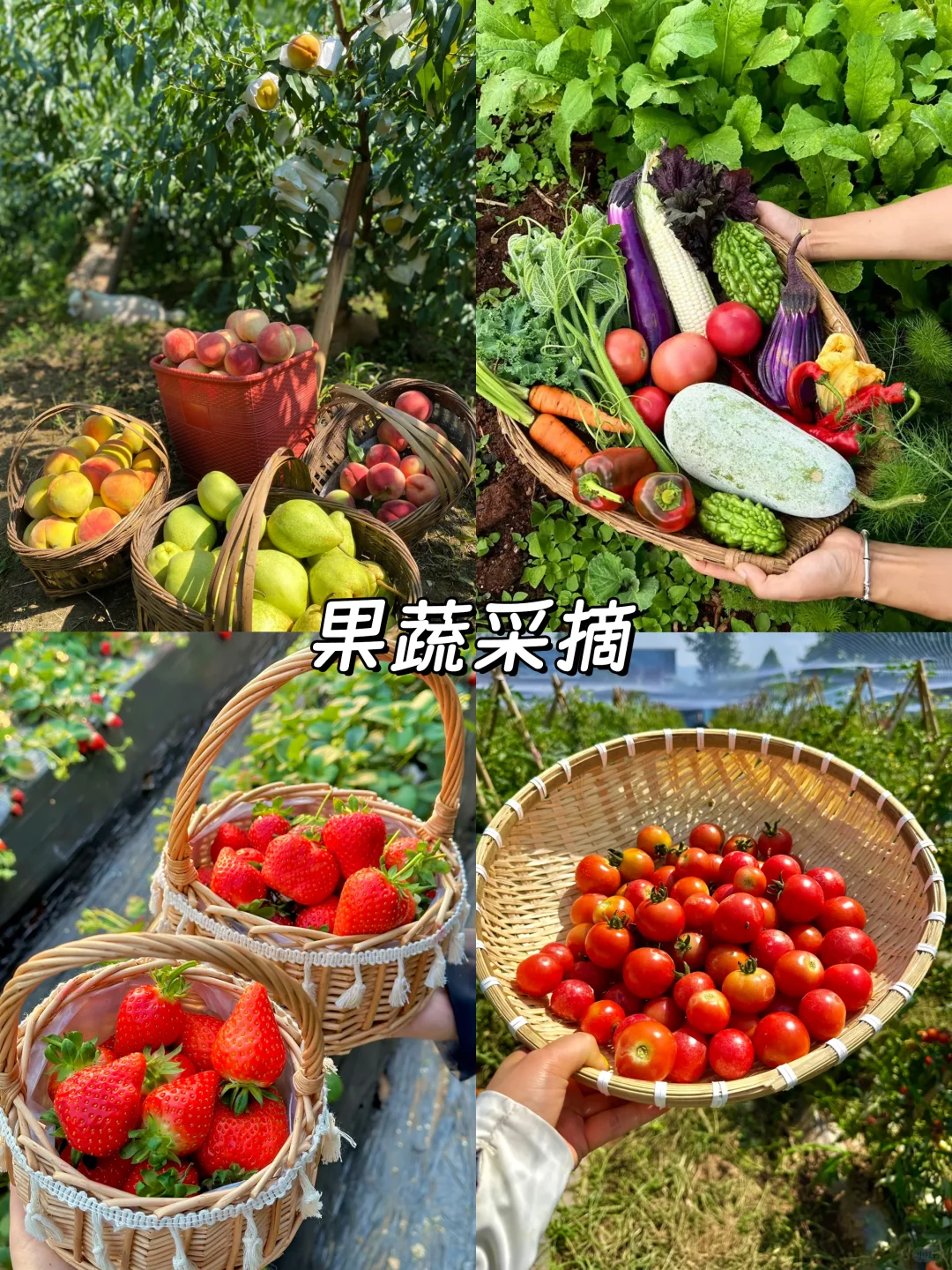 广州团建❗包栋小院烧烤任吃+游戏任玩