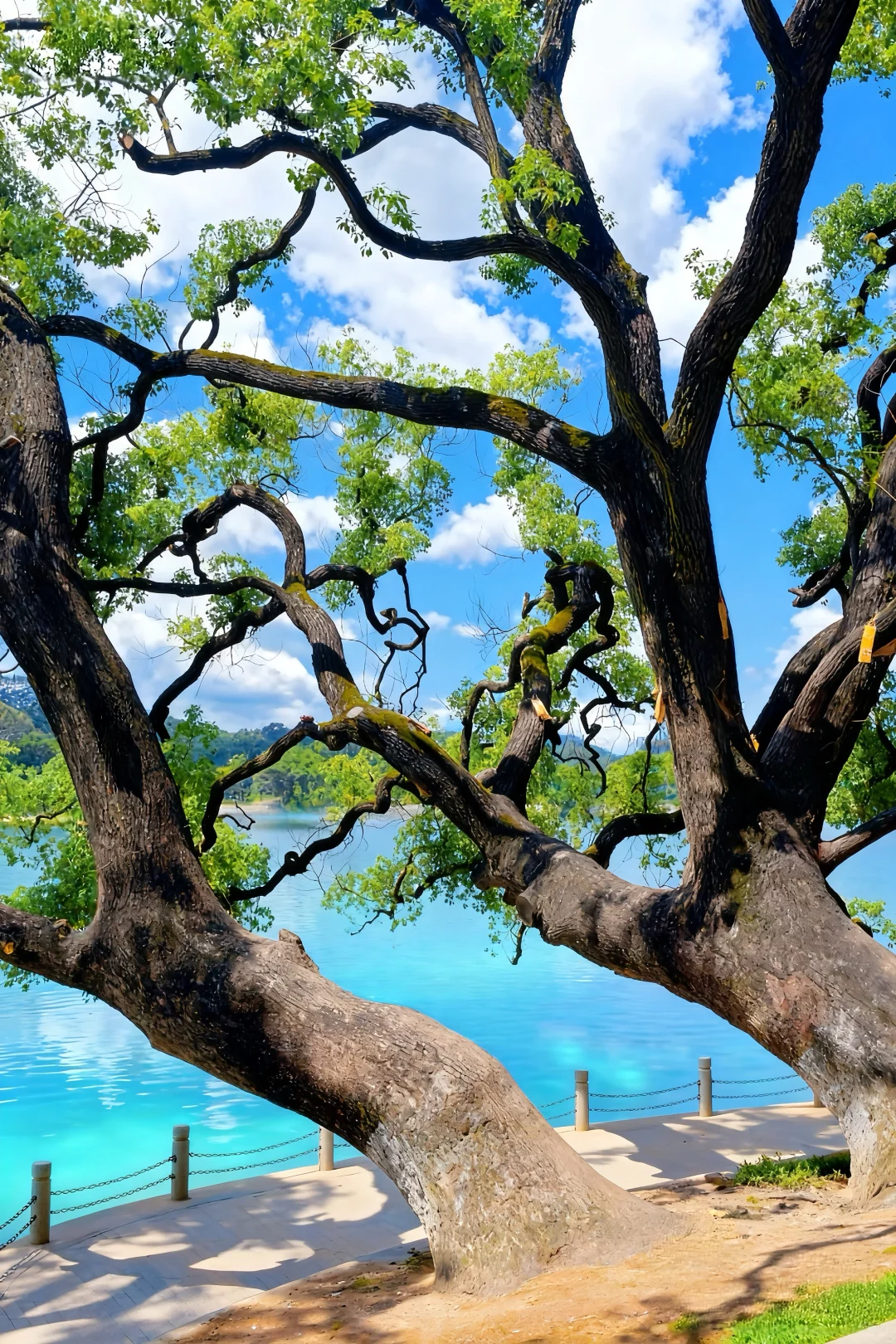 东莞“小洱海”～