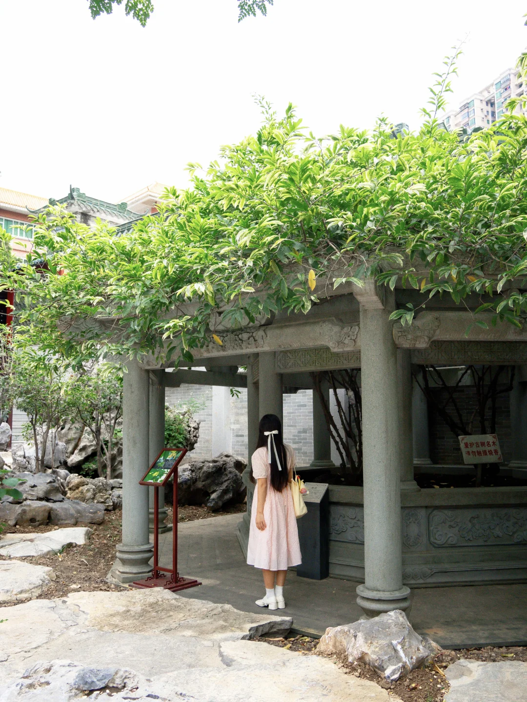 广州最好的东西都是免费的！！（📍附地址