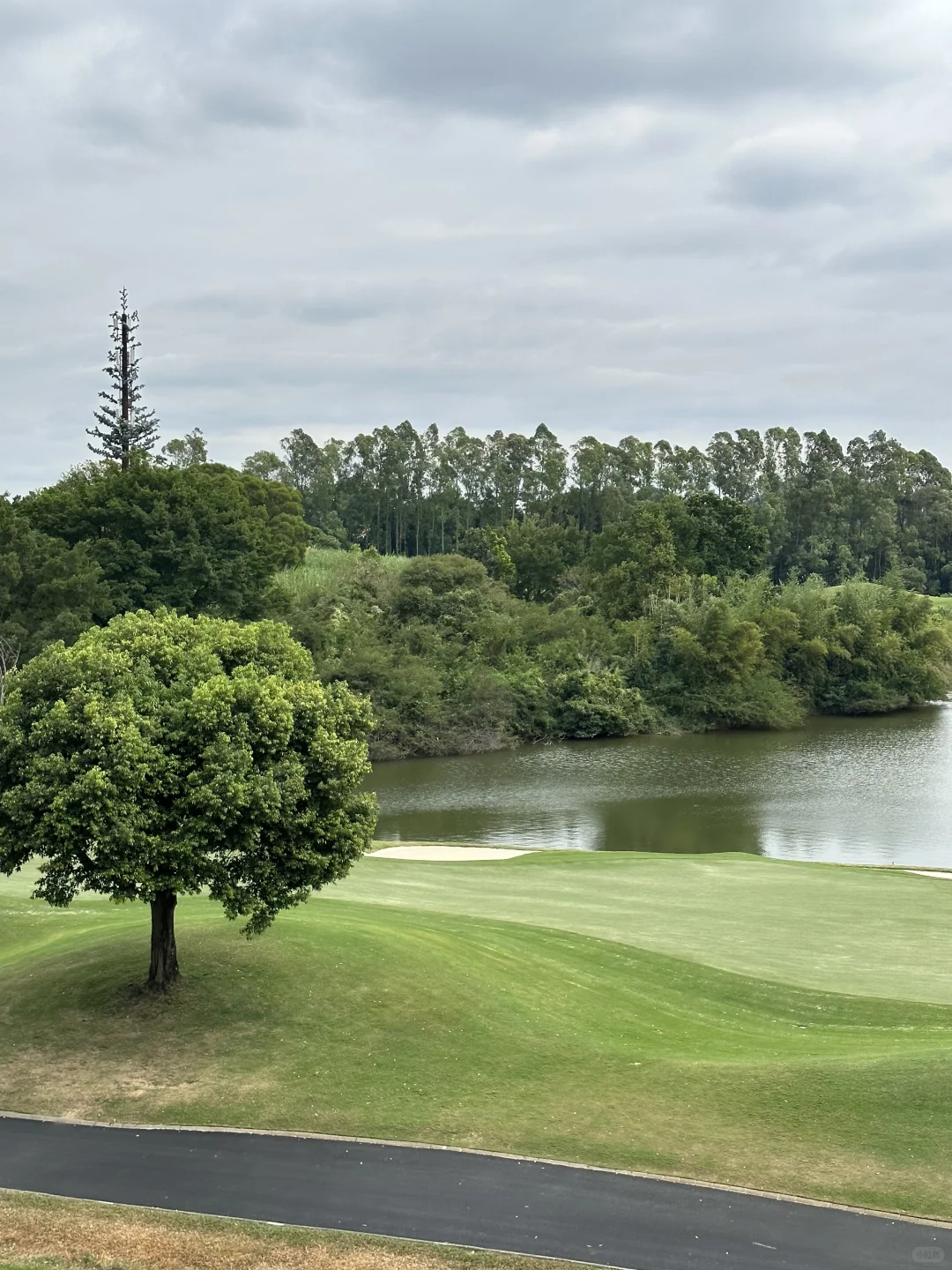 东莞 | 找到了zui适合散步的绿道🌿