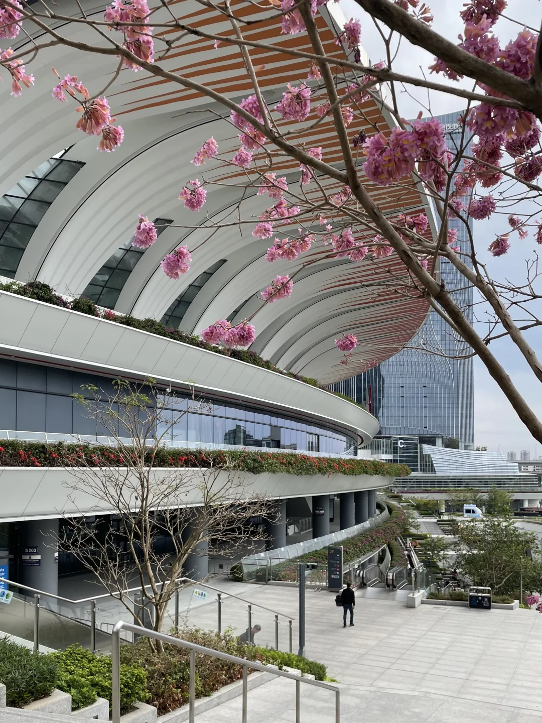 2025“全球最美车站”，广州白云站入榜