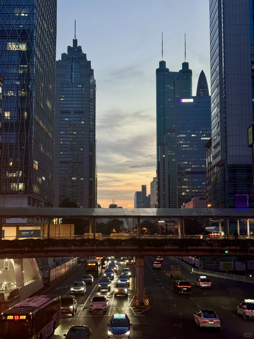 只有深圳人才知道今天的天气含金量有多高！