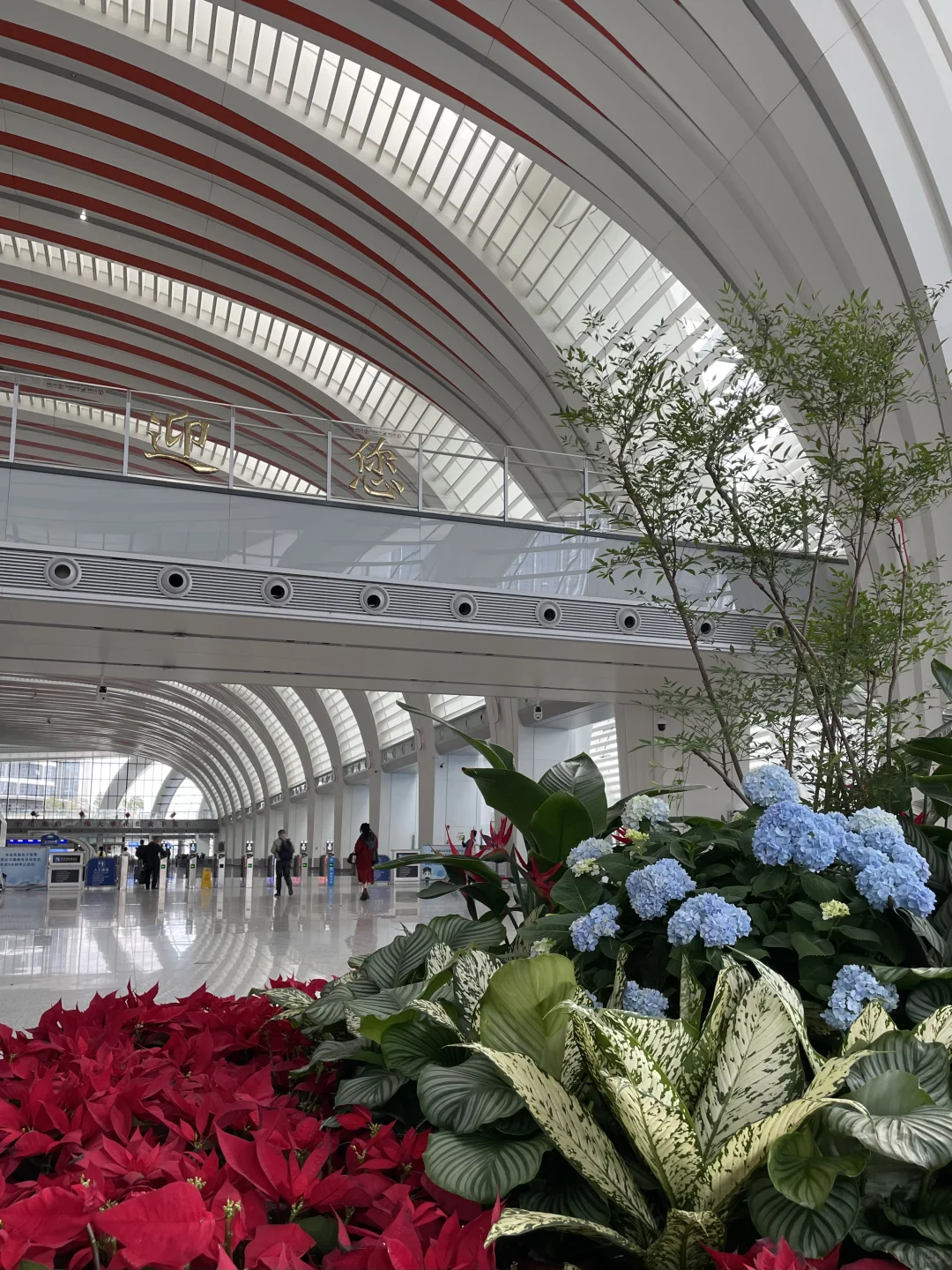 2025“全球最美车站”，广州白云站入榜