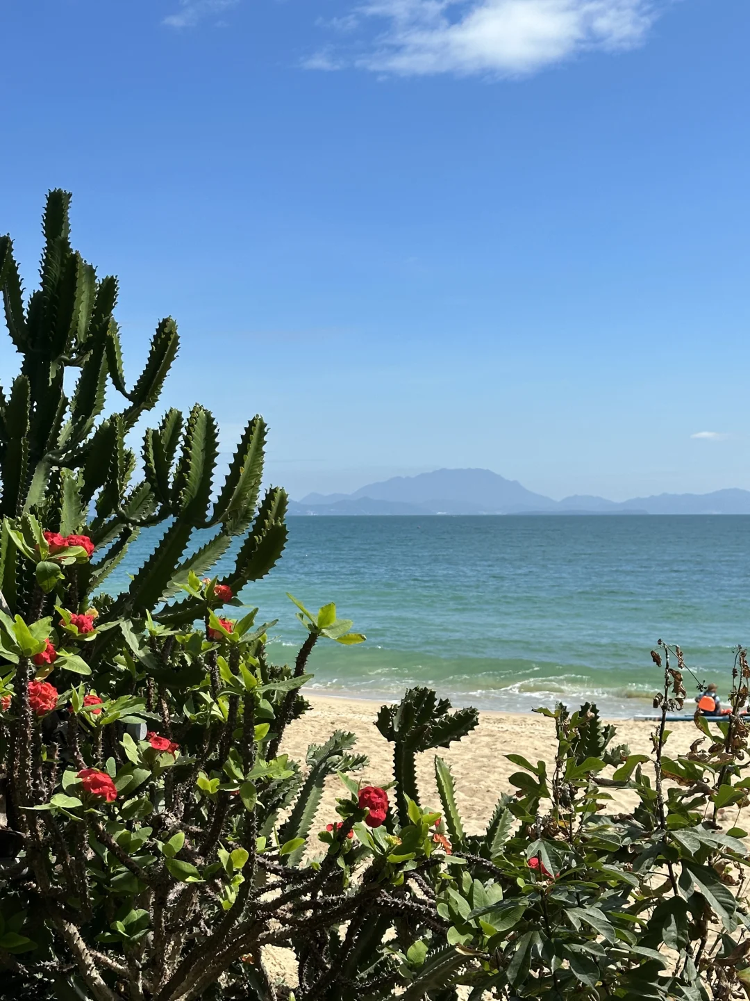 在深圳🚇直达，超适合city walk的海边栈道