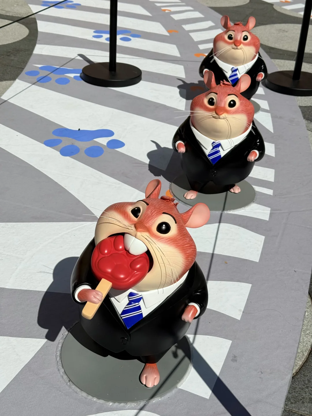 深圳已成为疯狂动物城痛城！