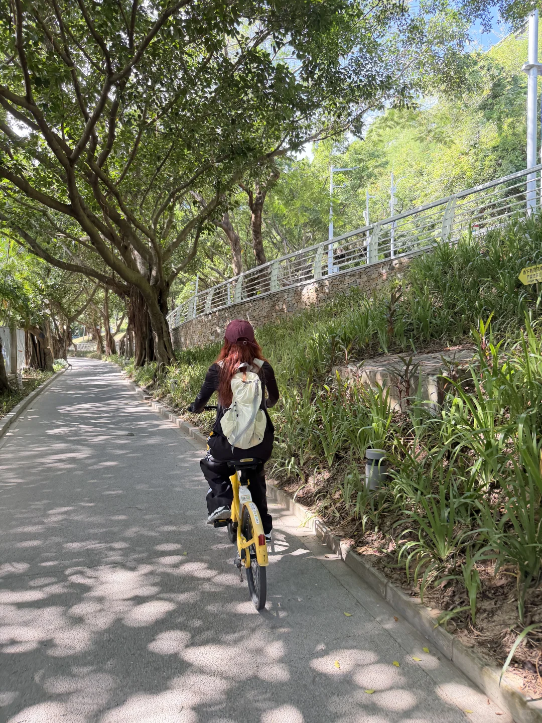 在深圳🚇直达，超适合city walk的海边栈道
