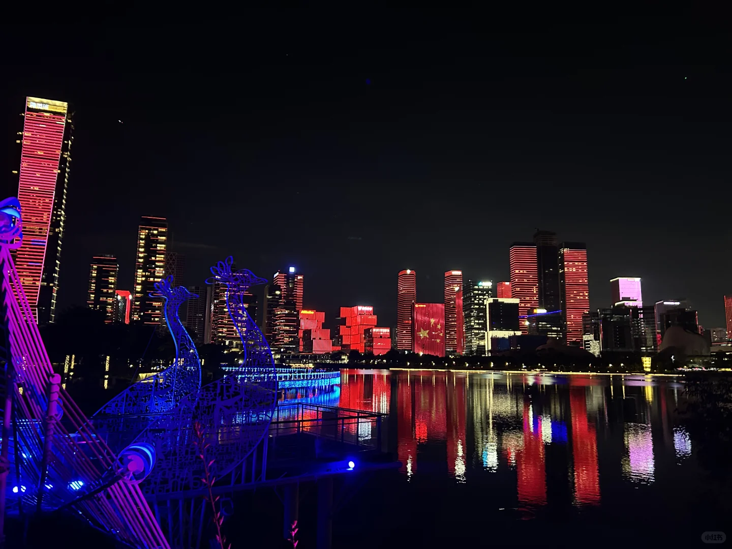 深圳人才公园灯光秀