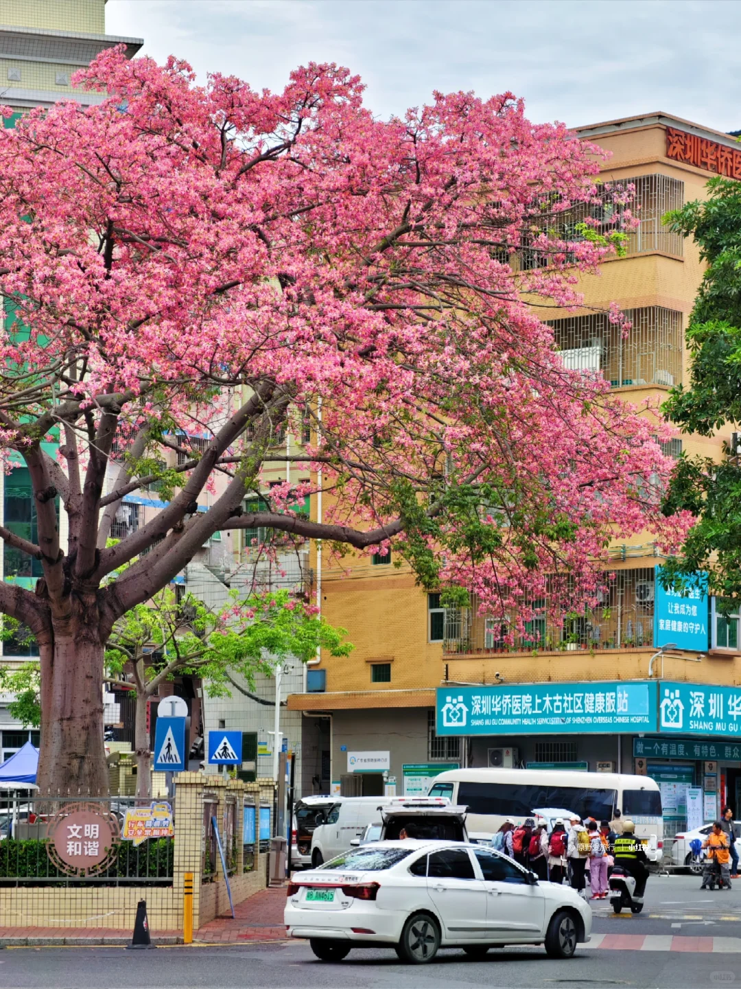 这几天的深圳是这样的❗
