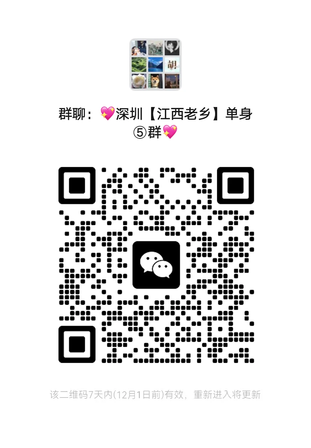 深圳江西老乡单身群，点缀生活的鲜花，脱单