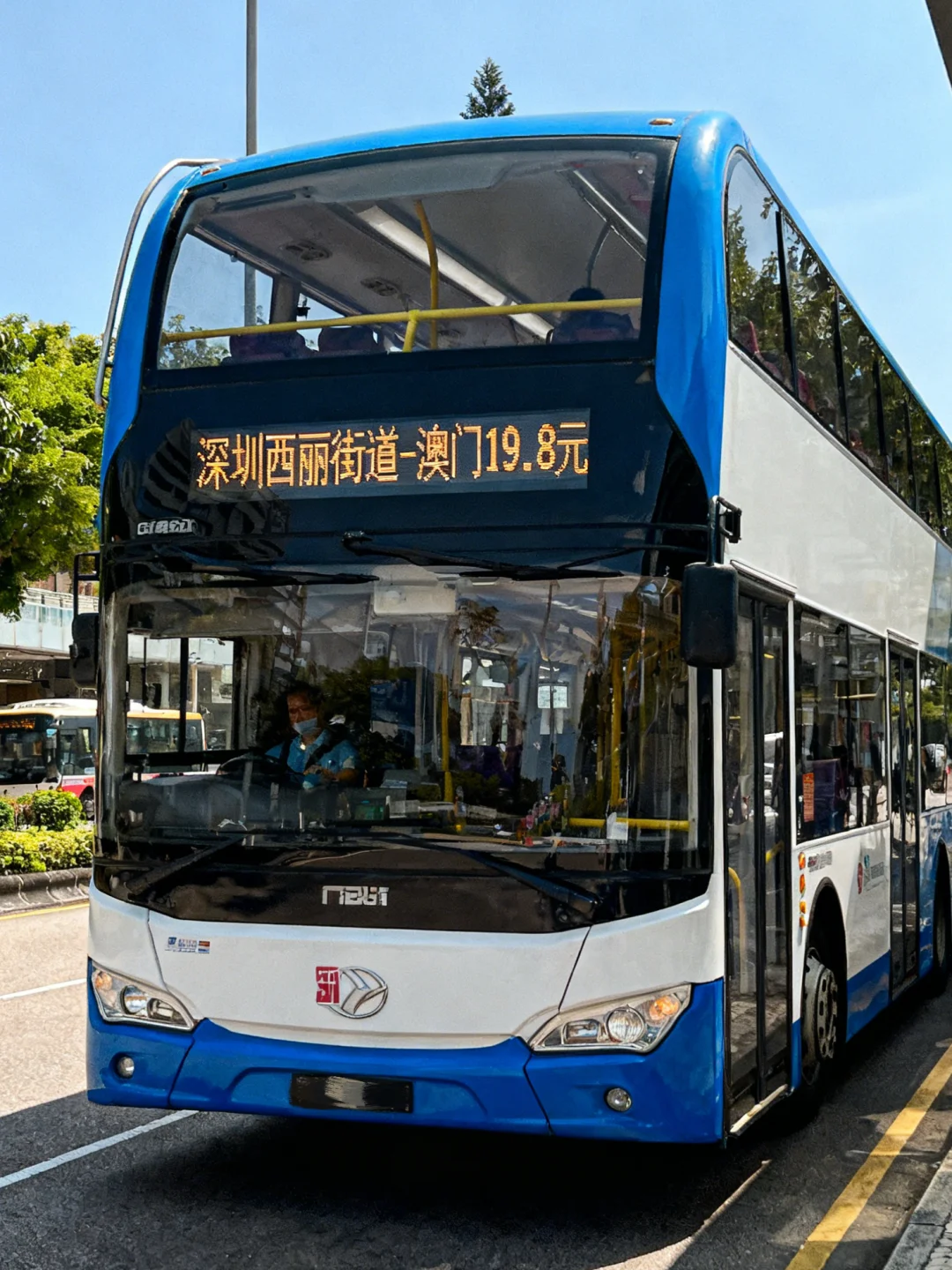 都知道深圳西丽街道正式官宣了吗！！