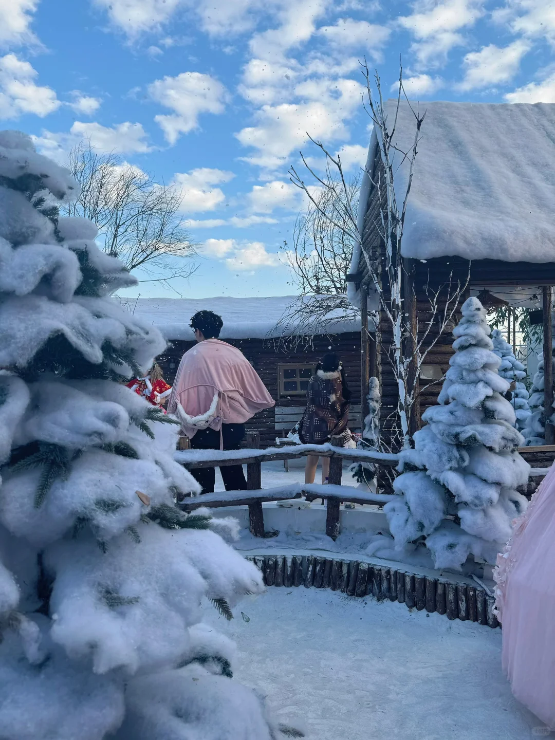 深圳下雪了❄️真像童话里的冰雪世界‼️