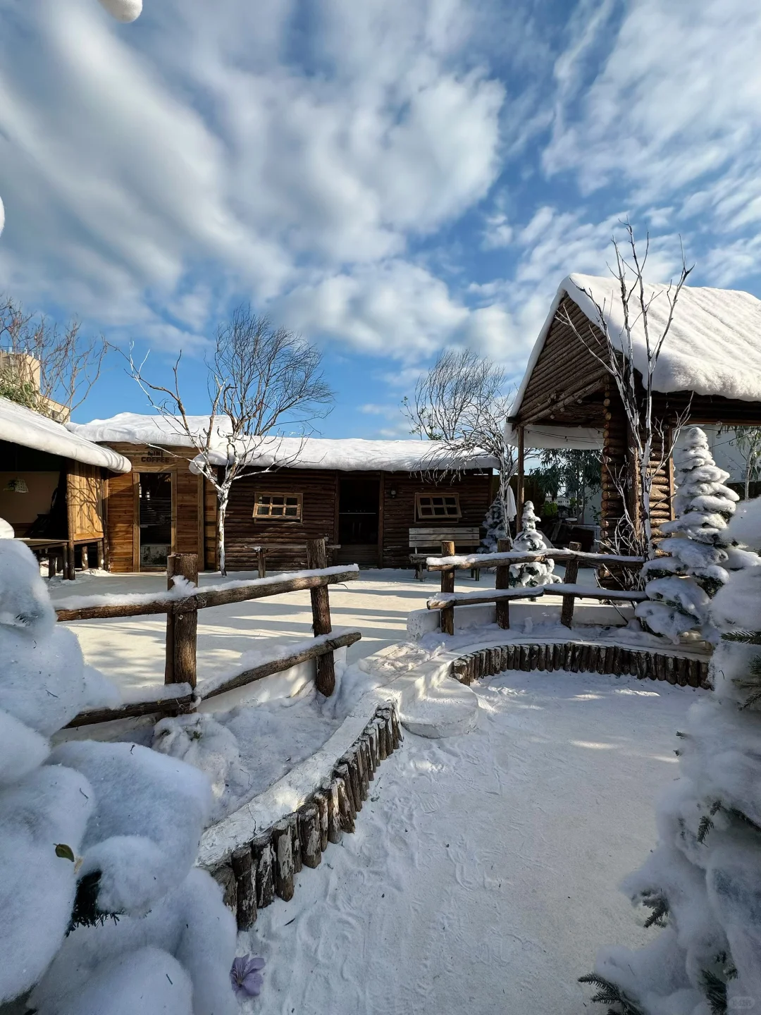 真不是Ai，就在深圳龙华，原相机直出雪景❄️ #