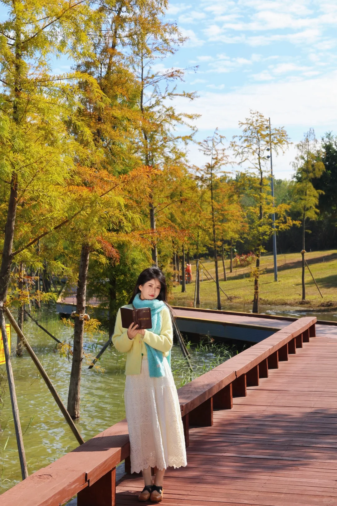 深圳落羽杉🍁已红，趁无人知晓赶紧冲🏃‍♀️💨