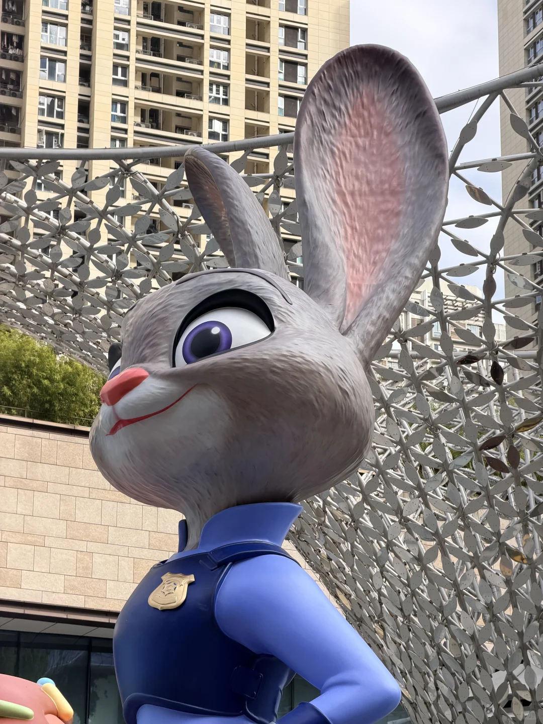 深圳就是一座巨大的疯狂动物城！