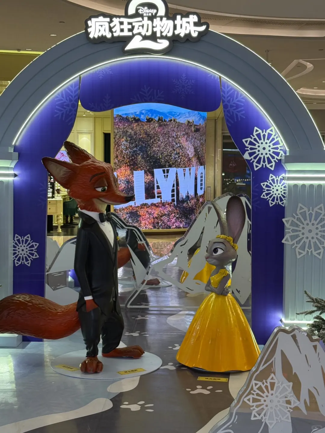 全深圳都在偶遇5 米高的朱迪！