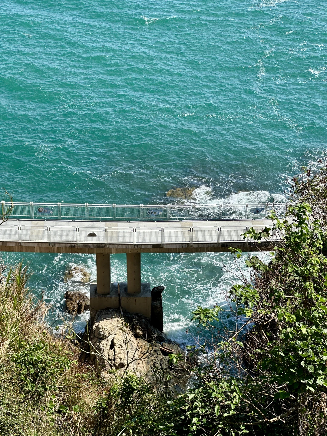 在深圳🚇直达，超适合city walk的海边栈道