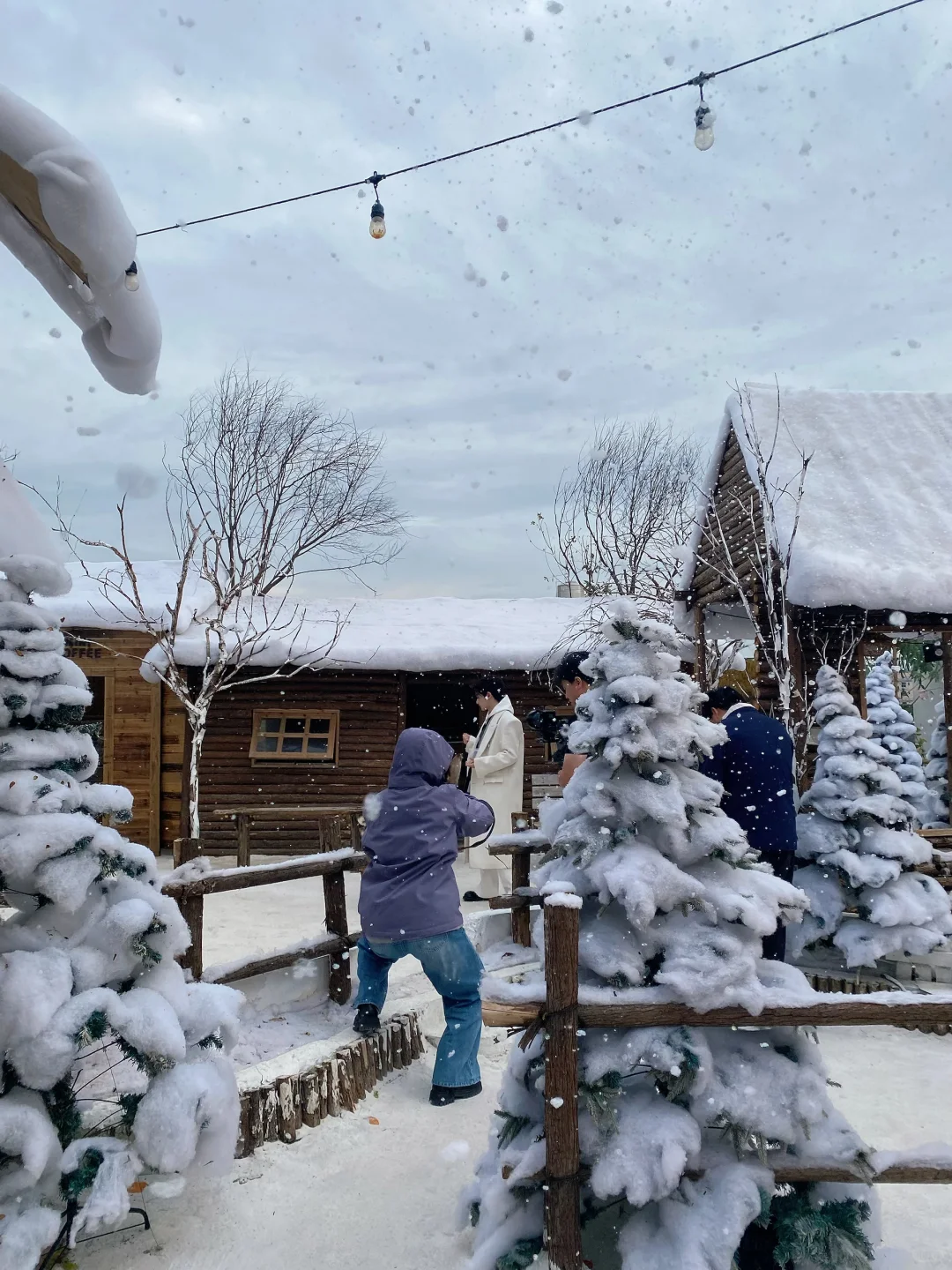 深圳下雪了❄️真像童话里的冰雪世界‼️