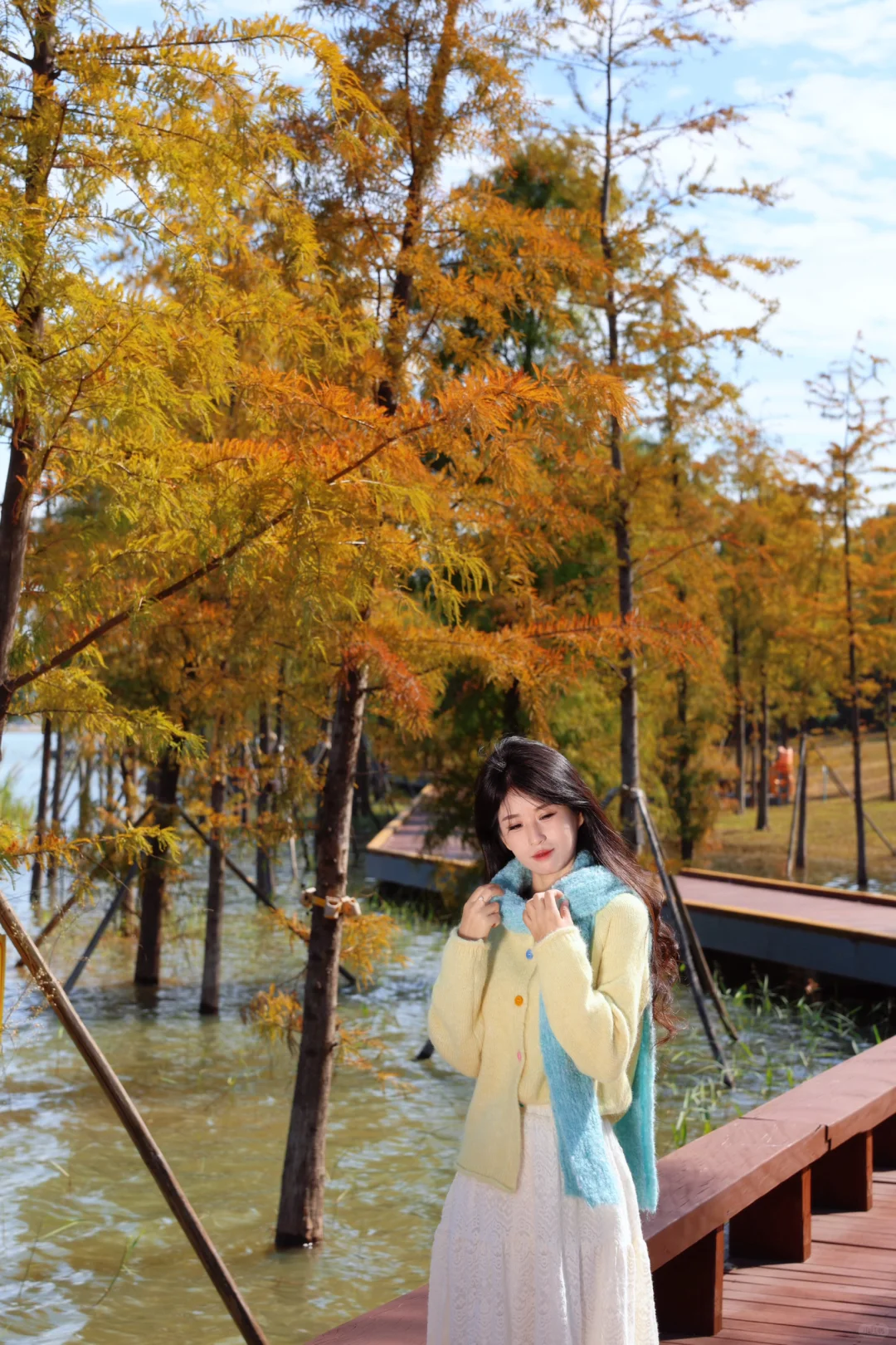 深圳落羽杉🍁已红，趁无人知晓赶紧冲🏃‍♀️💨