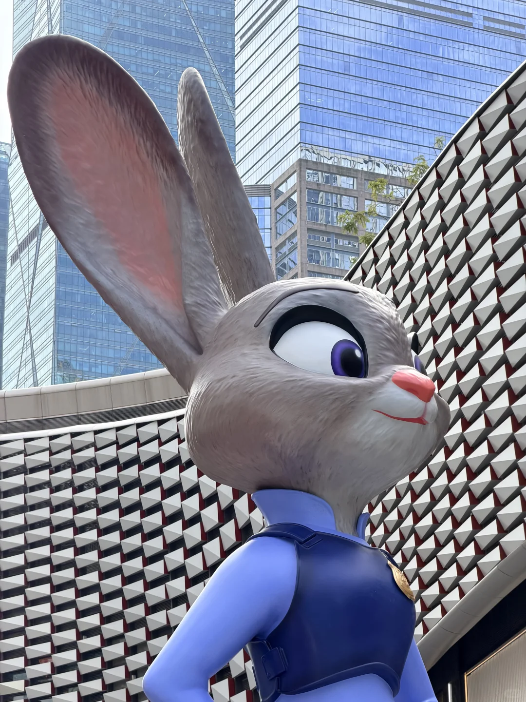 深圳就是一座巨大的疯狂动物城！