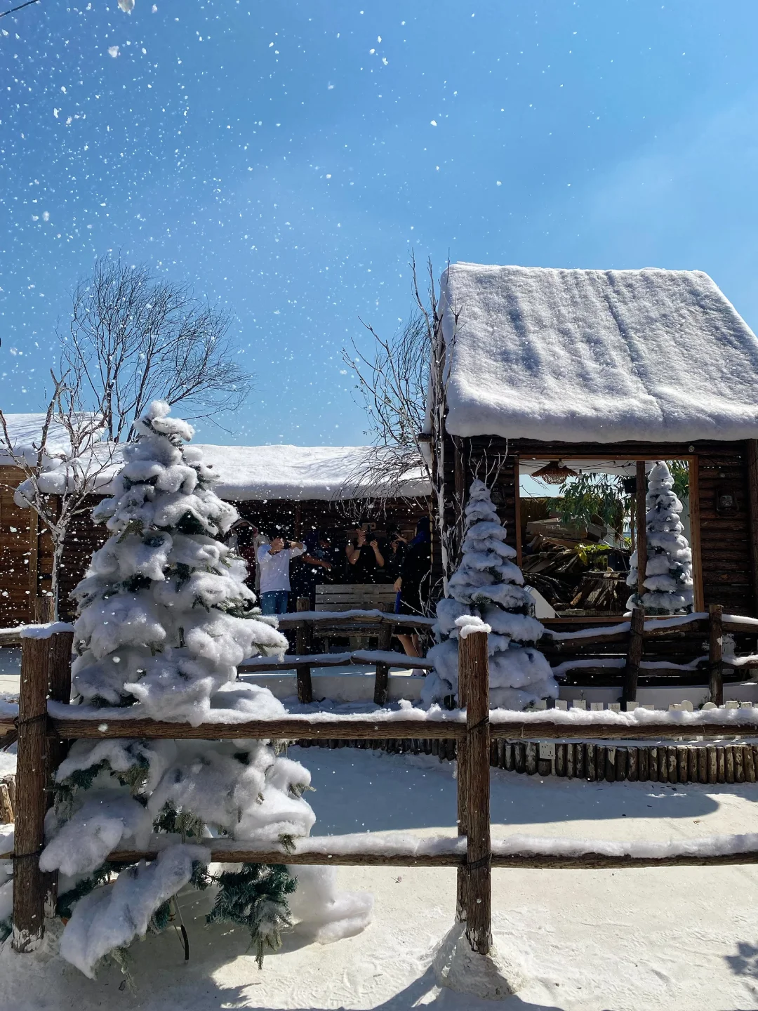真不是Ai，就在深圳龙华，原相机直出雪景❄️ #