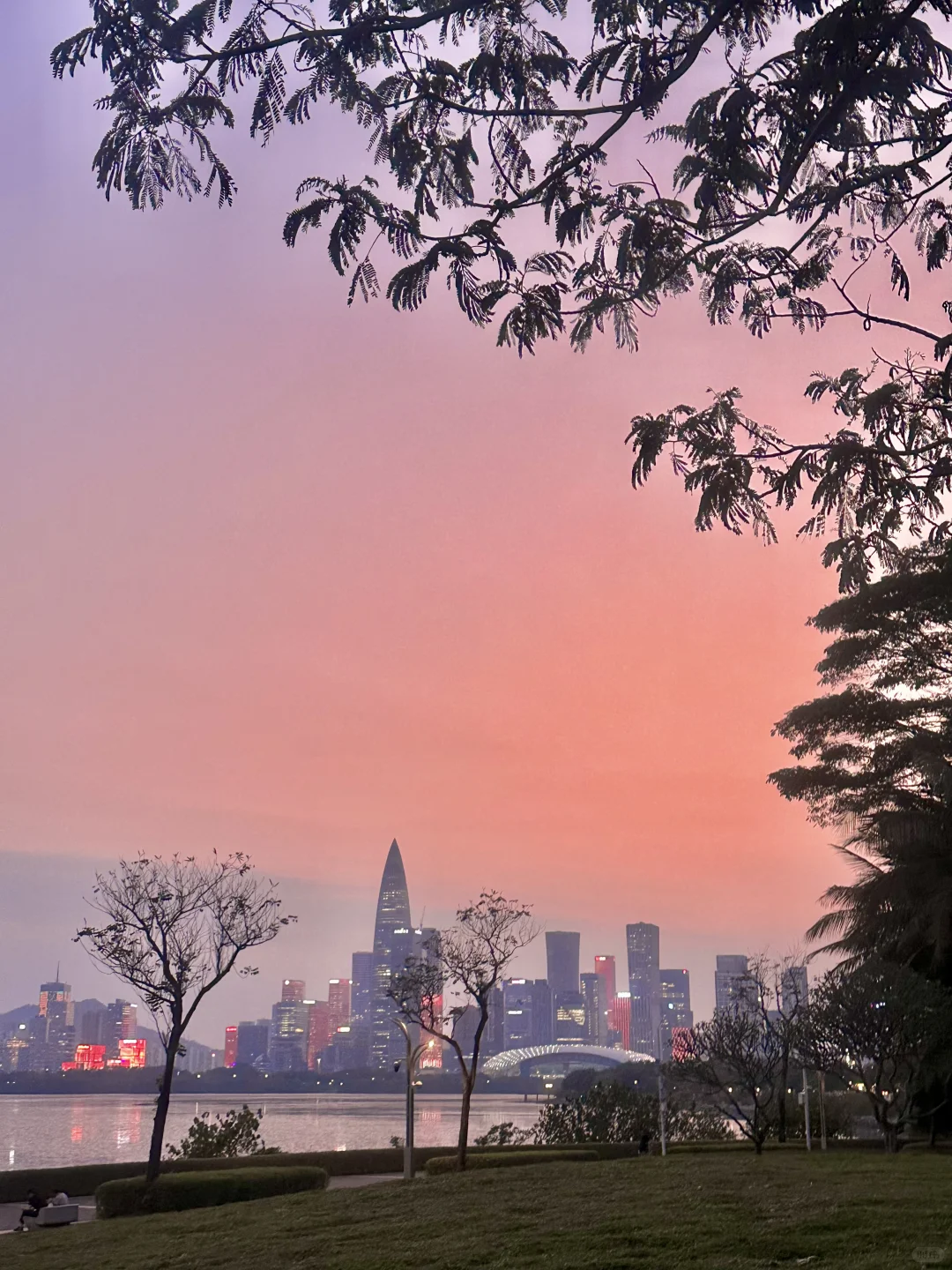 深圳蕞好的都是免费的~🌳
