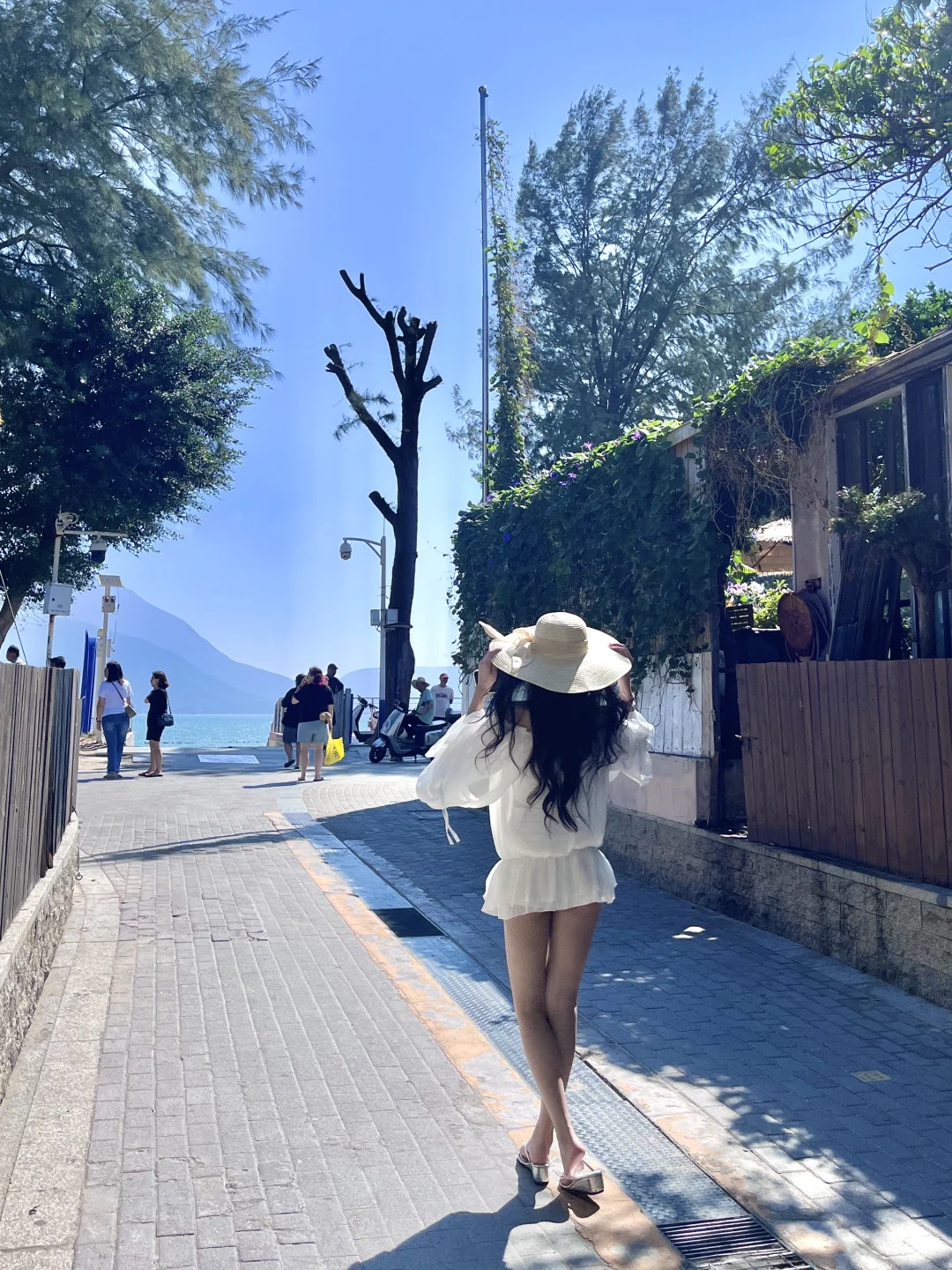 深圳☀️看海日记2.0