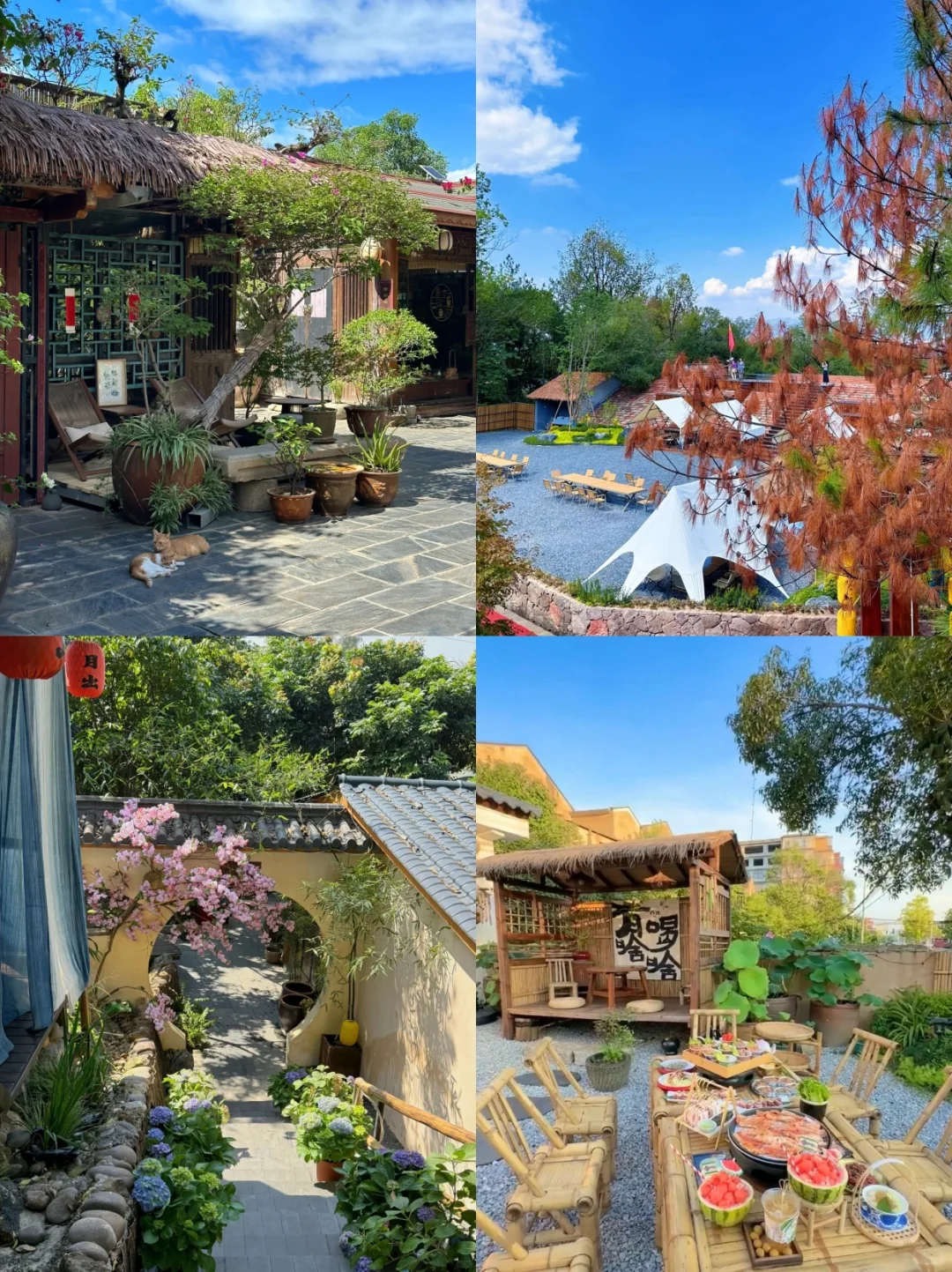 深圳农家小院！去哪玩！我推荐这家🍃！！