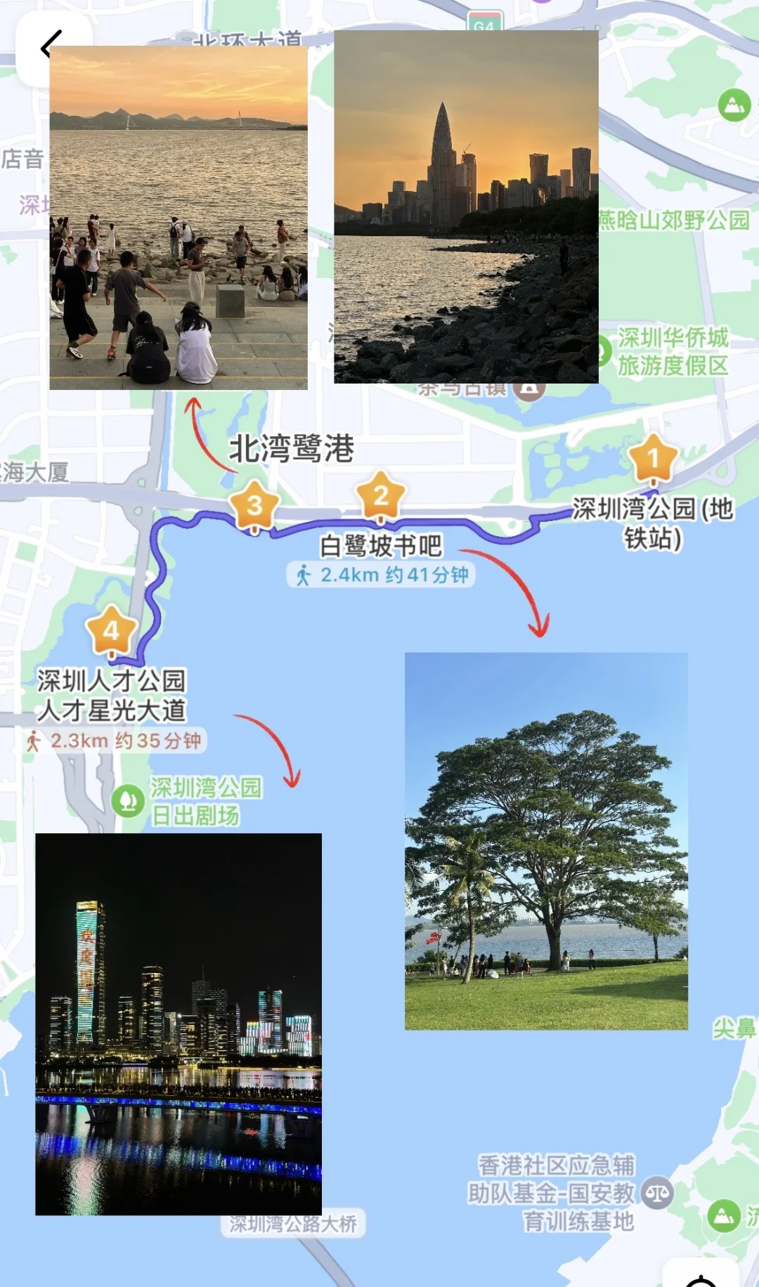 深圳蕞好的都是免费的~🌳