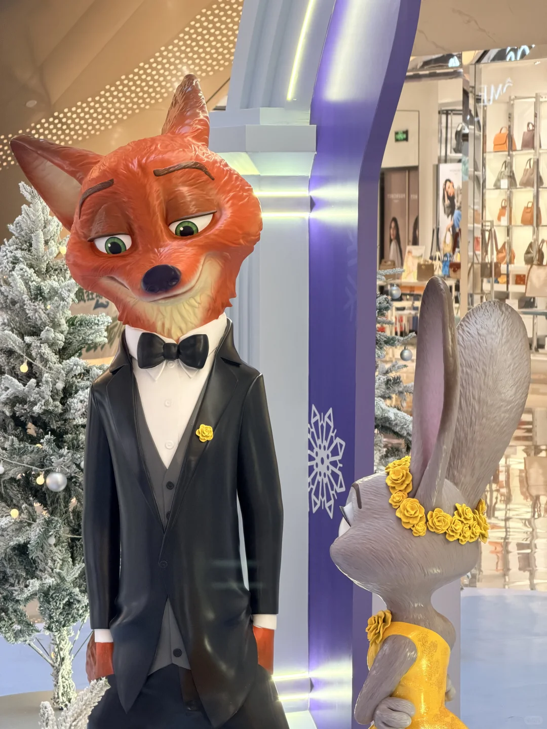 深圳就是一座巨大的疯狂动物城！