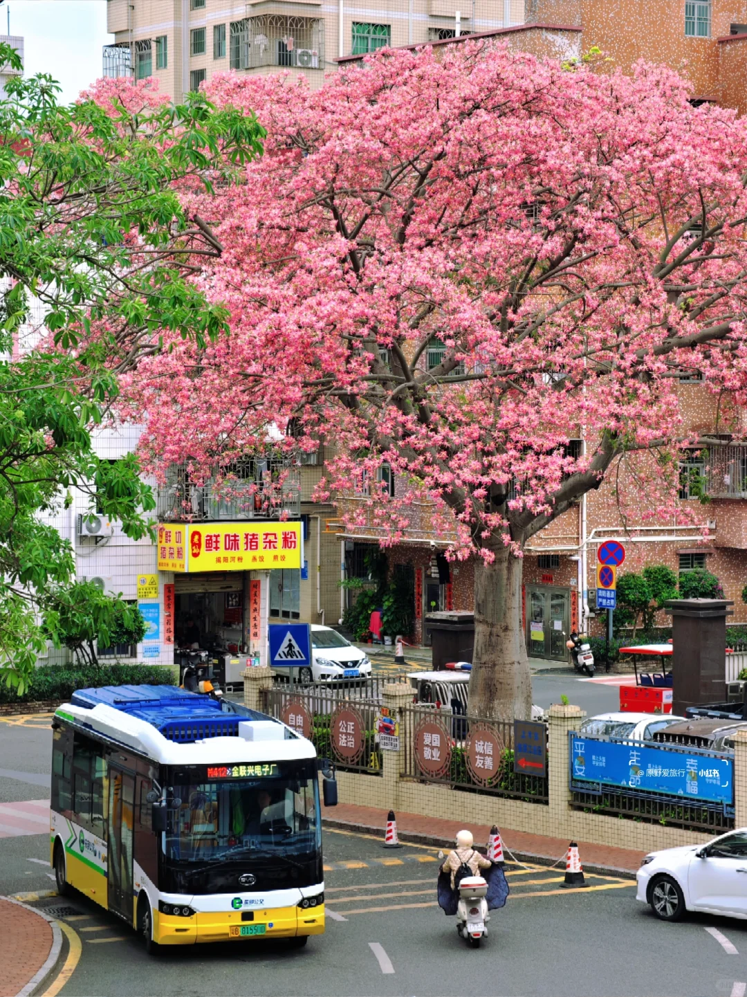 这几天的深圳是这样的❗