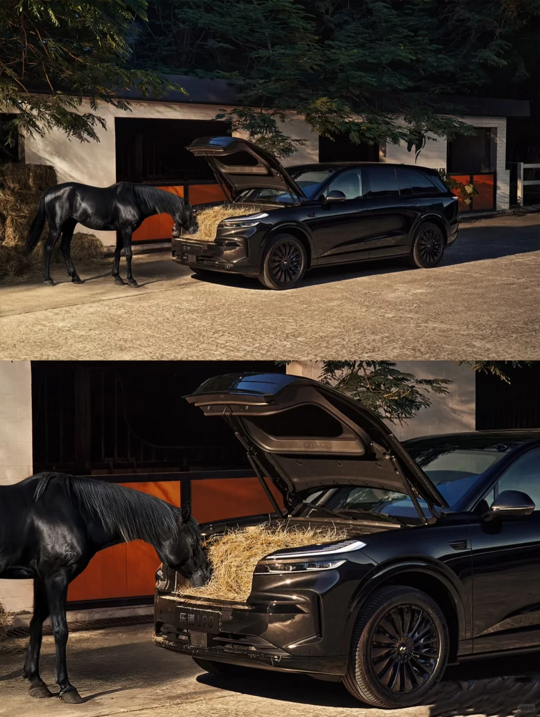 深圳场地|在威廉马场拍的古天乐真帅！