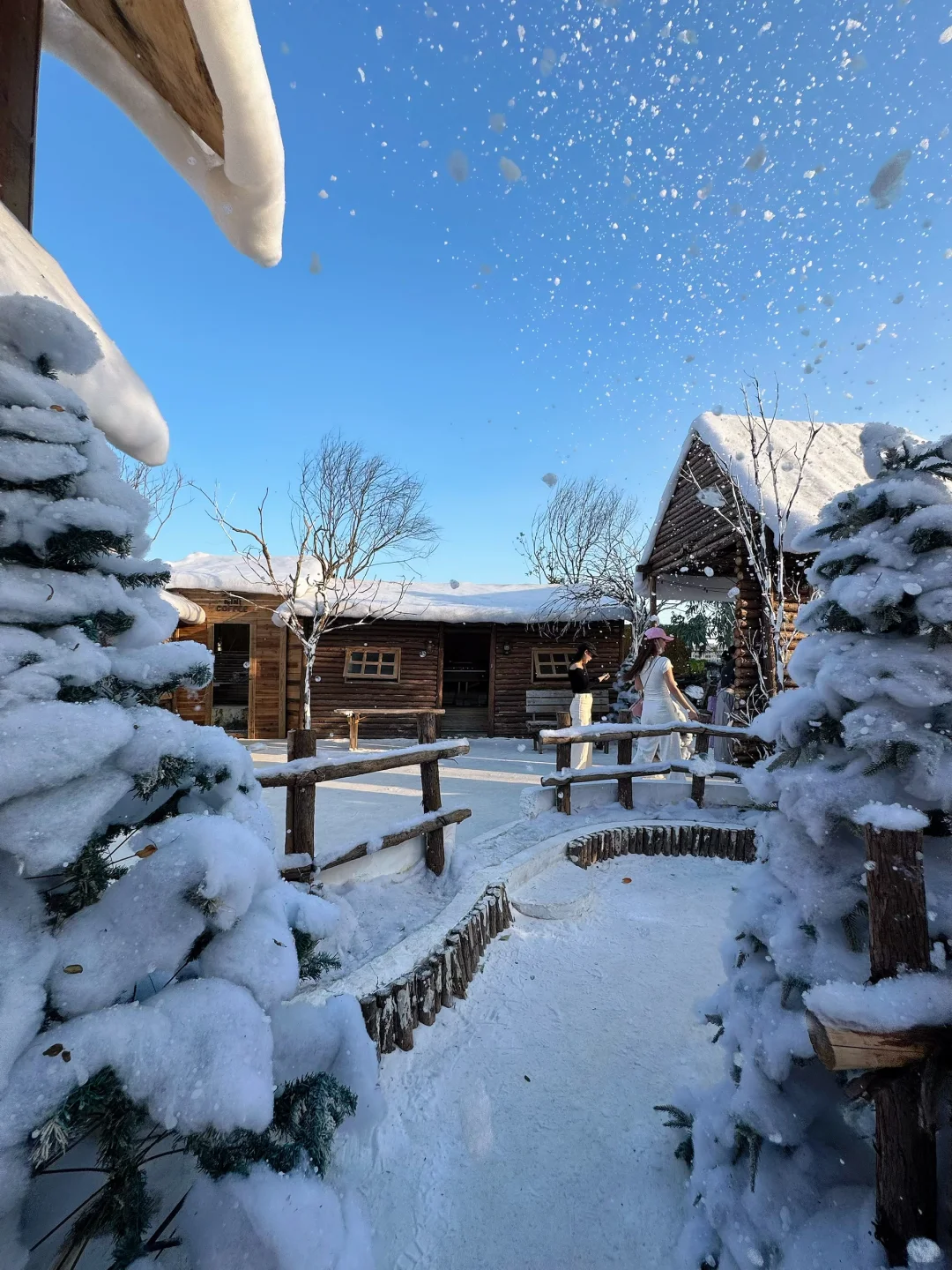 真不是Ai，就在深圳龙华，原相机直出雪景❄️ #
