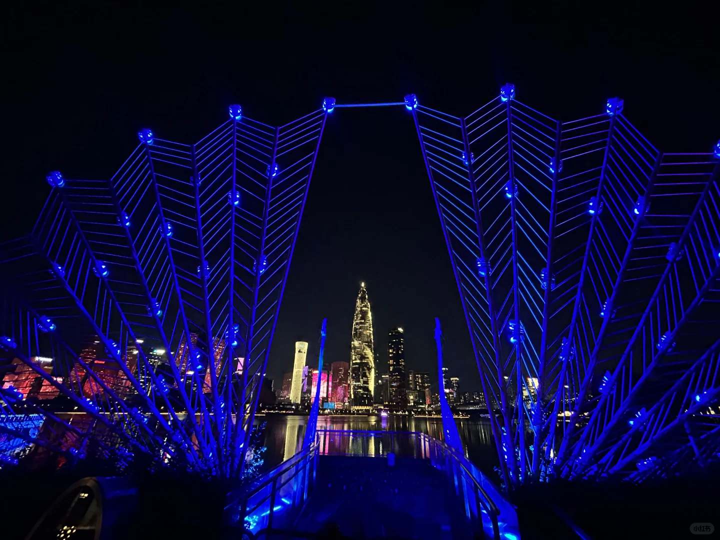 深圳人才公园灯光秀